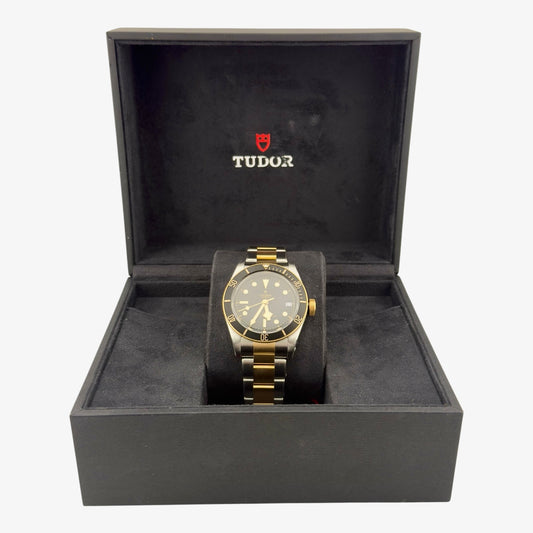 Tudor Black Bay S&G / Reference M79733N-0008