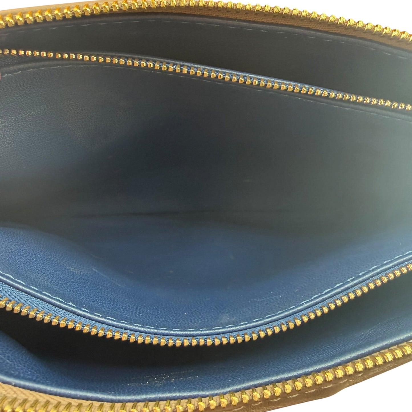 Louis Vuitton Coussin PM Bag