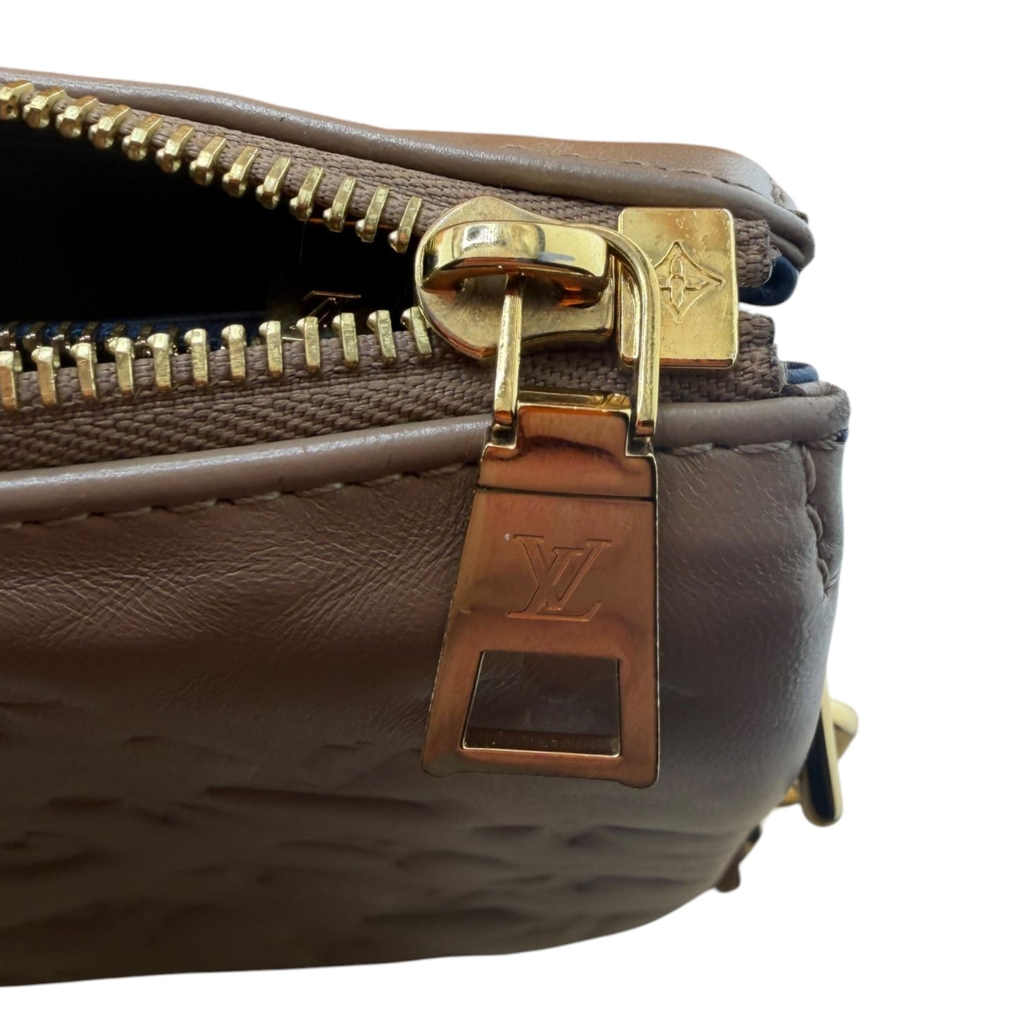 Louis Vuitton Coussin PM Bag