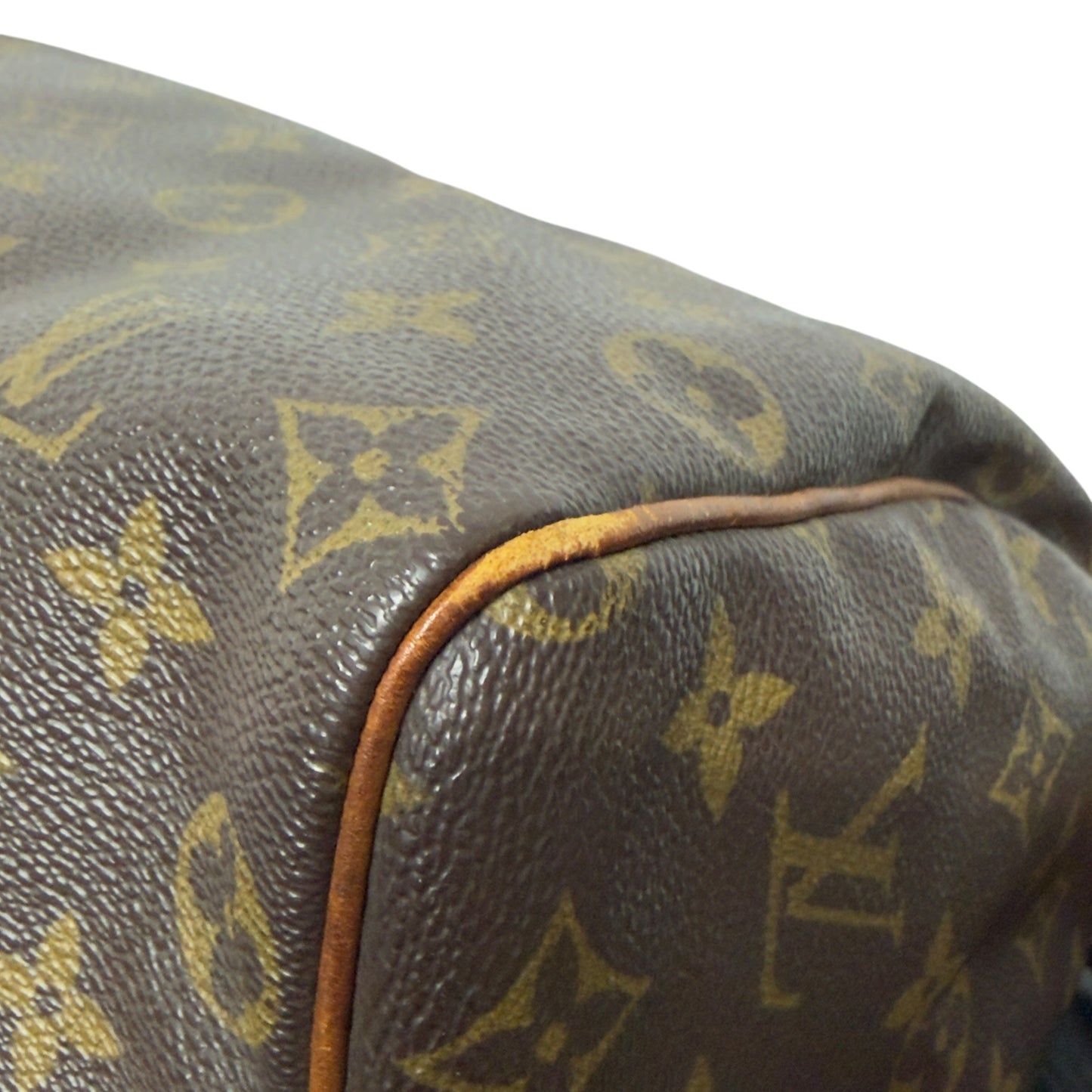 Louis Vuitton Speedy 25