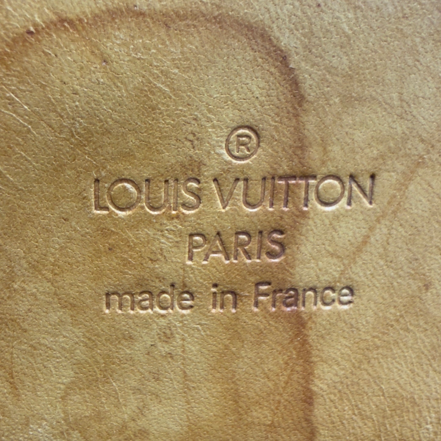 Louis Vuitton Evasion Travel Bag (Model M41443)