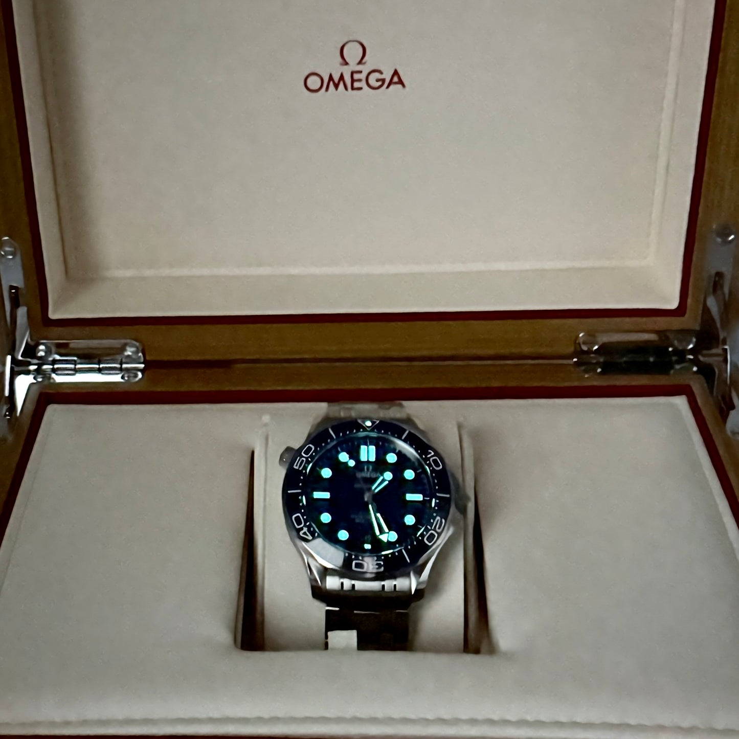 **SOLD** - Omega Seamaster 210.30.42.20.03.001(2022 Model)
