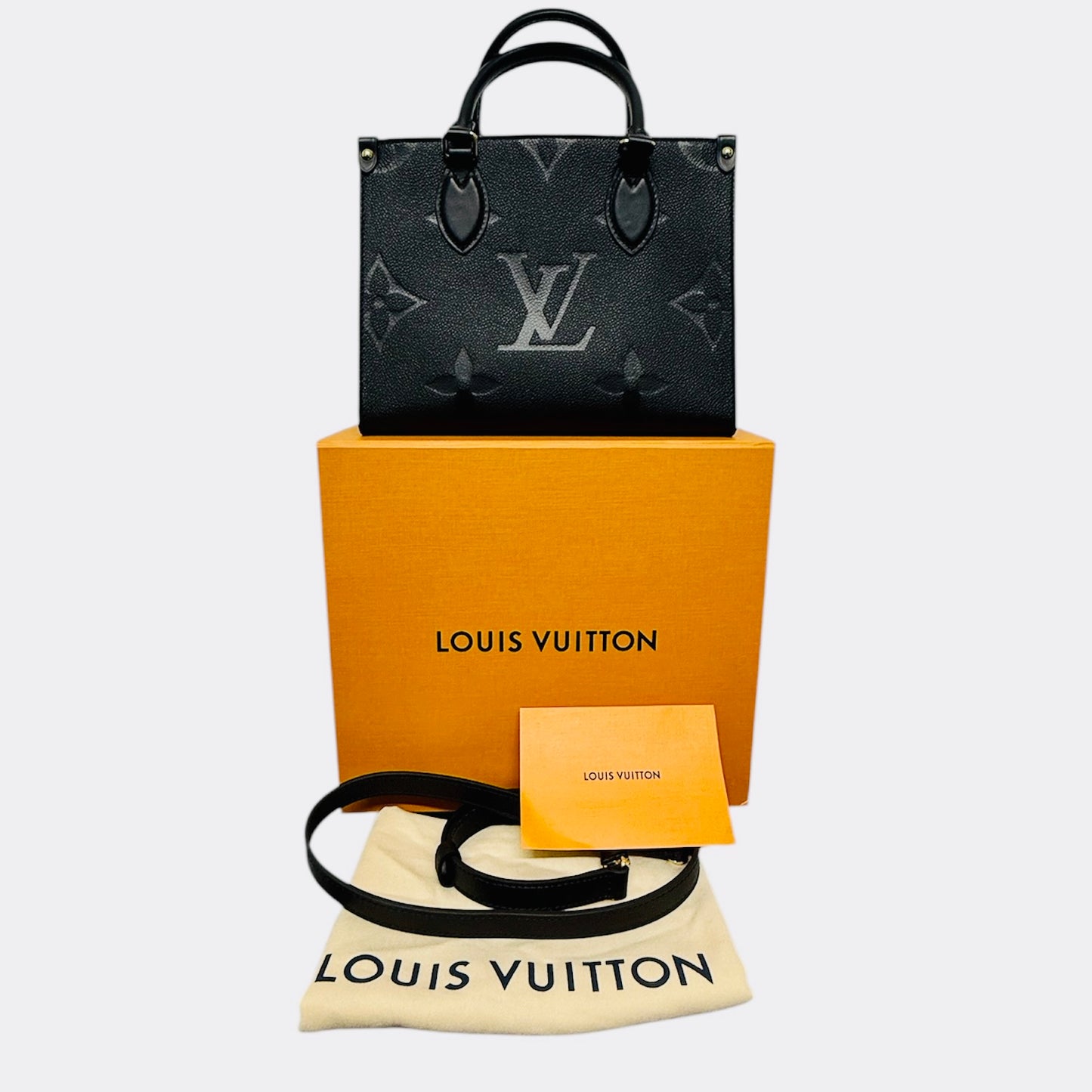 Louis Vuitton OnTheGo PM Bag / M45653