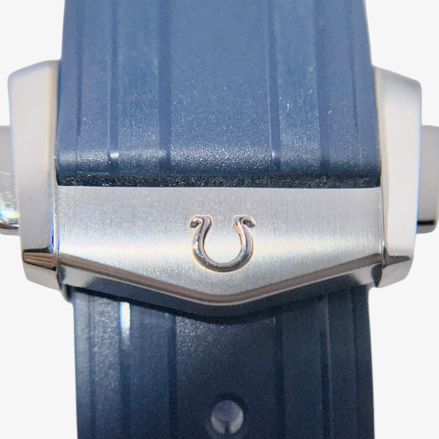 Omega Seamaster America's Cup Edition (2024)