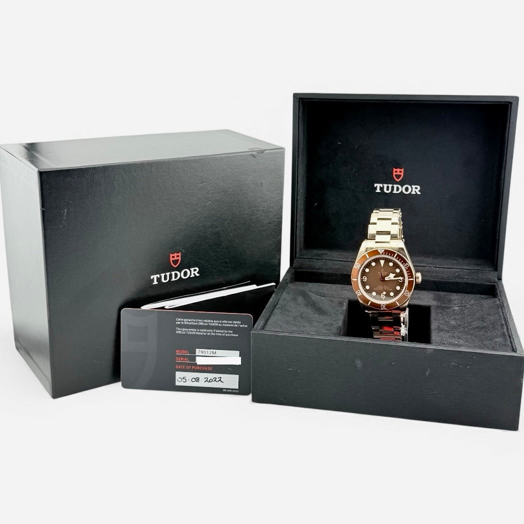 Tudor Black Bay 58 Bronze