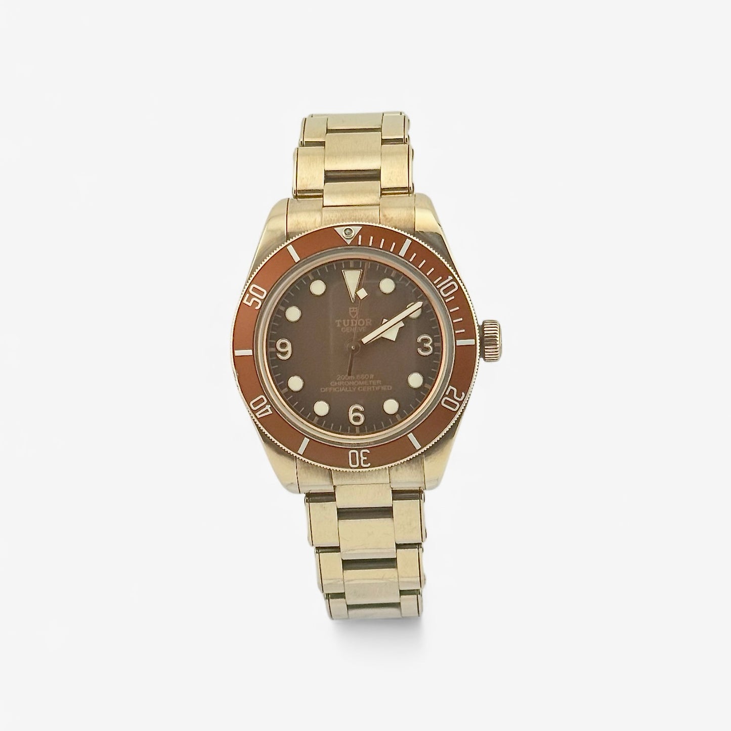 Tudor Black Bay 58 Bronze