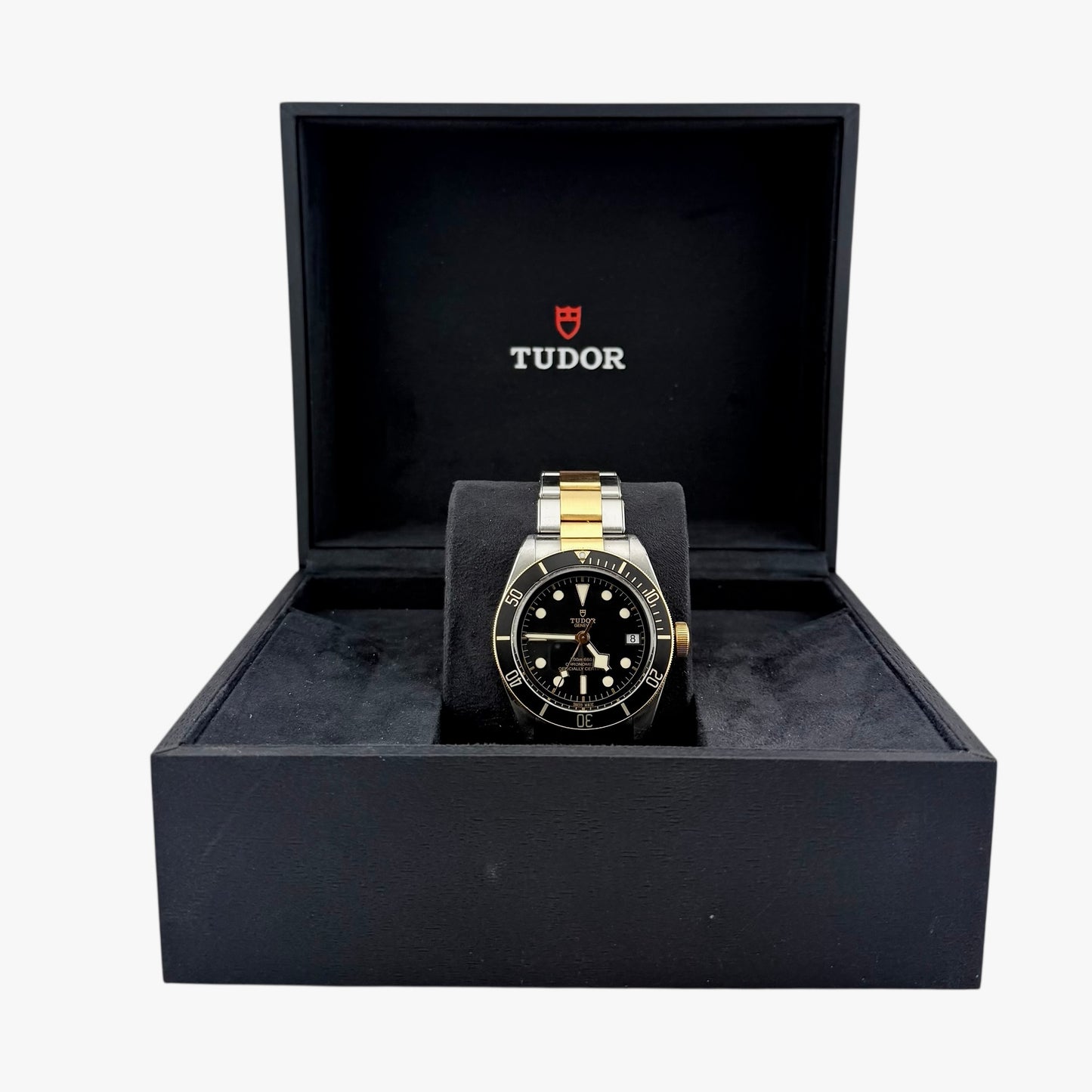 Tudor Black Bay S&G / M79733N