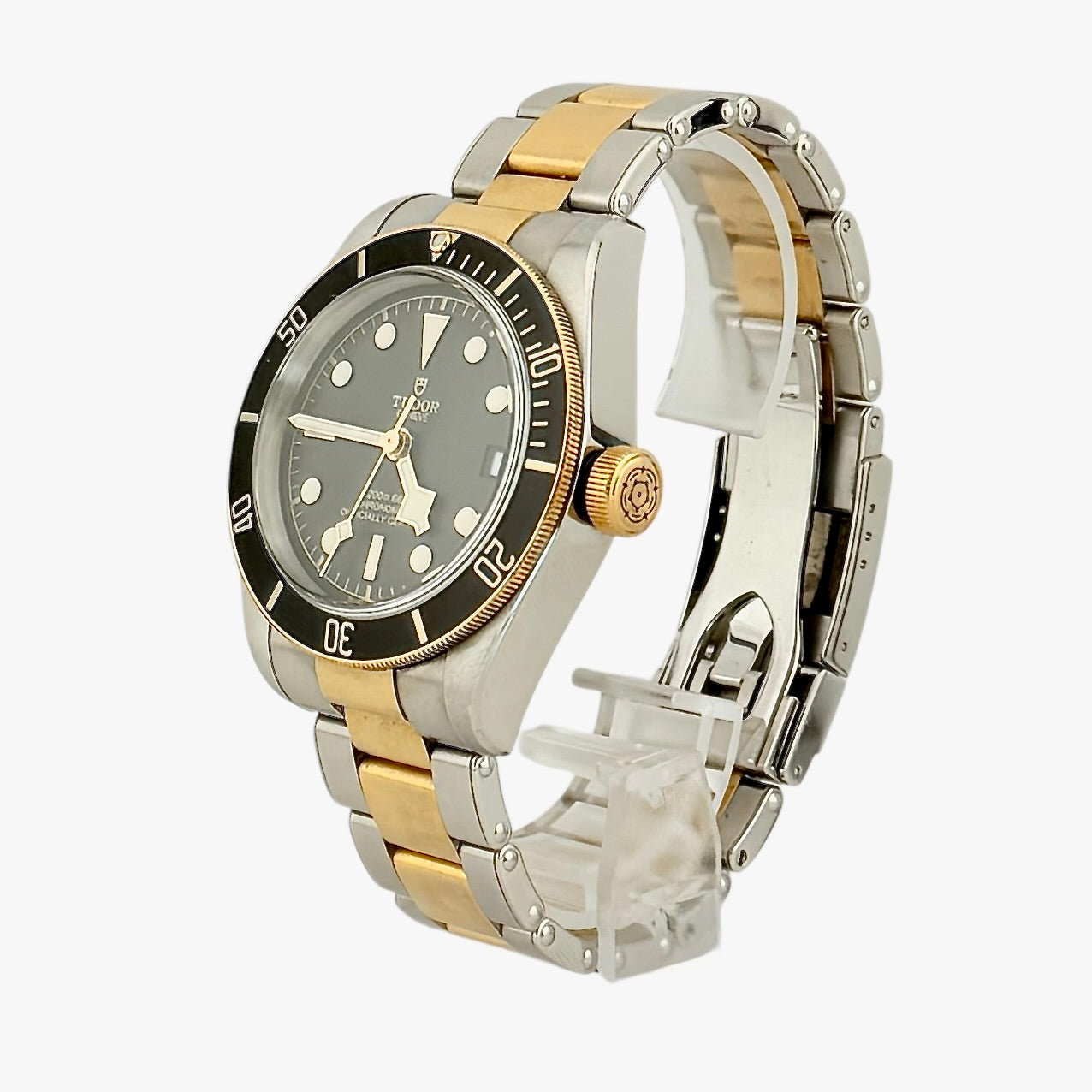 Tudor Black Bay S&G / M79733N