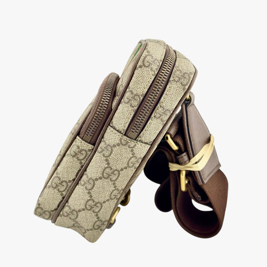 Gucci Ophidia GG Mini Bag