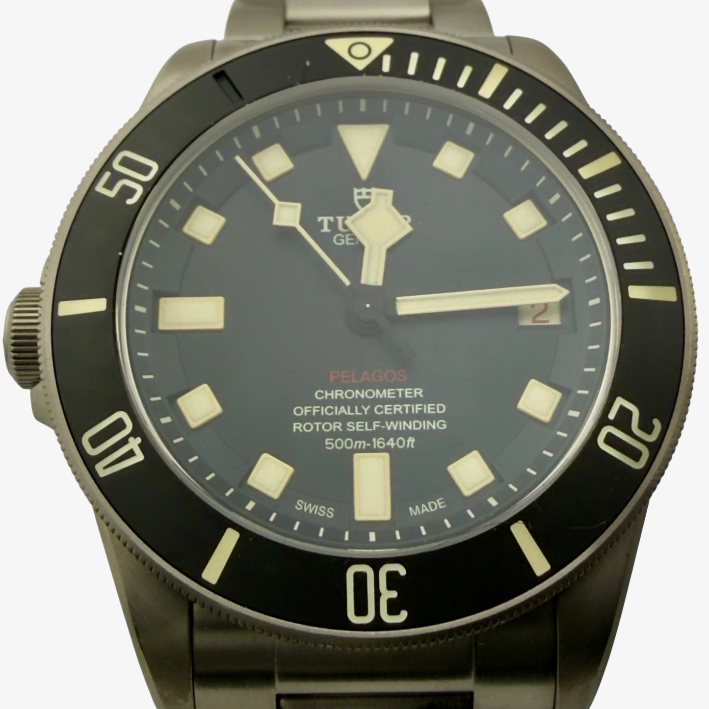Tudor Pelagos / M25610TNL-0001