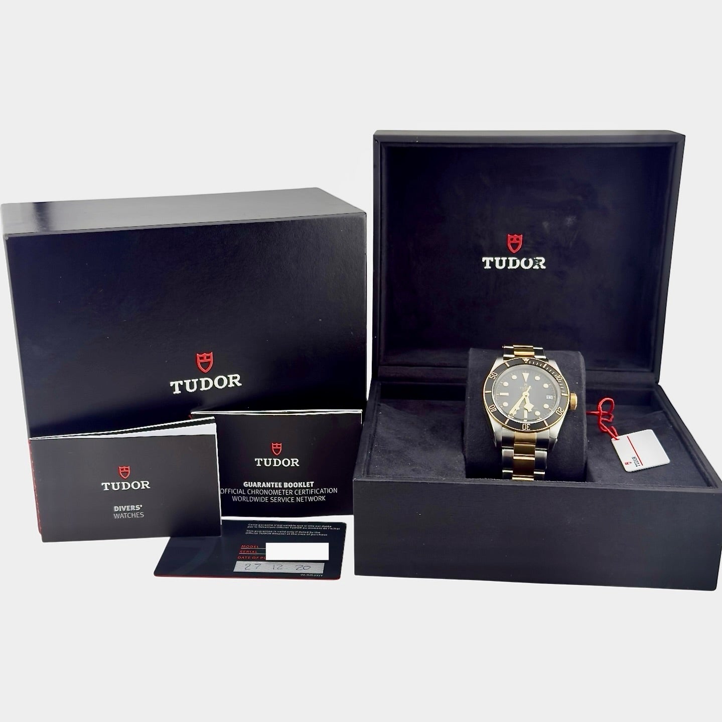 Tudor Black Bay S&G / Reference M79733N-0008