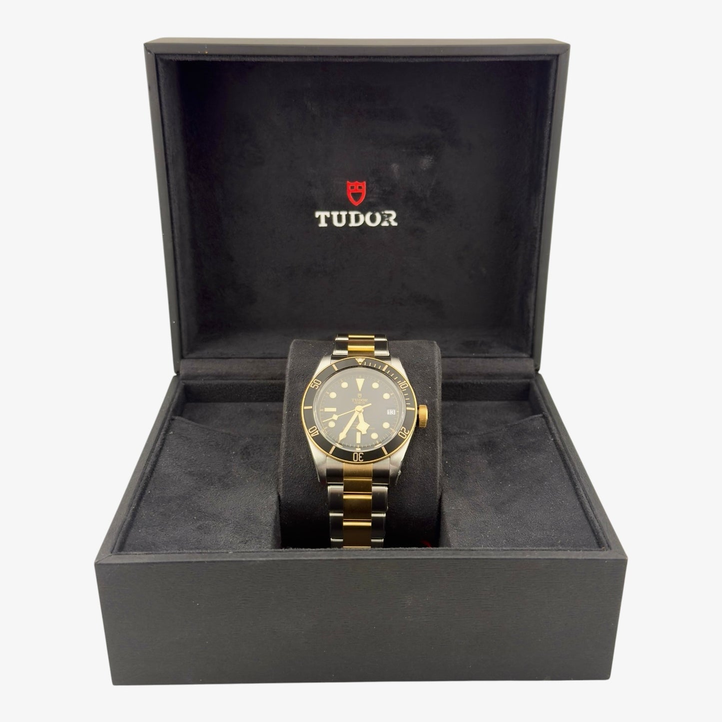 Tudor Black Bay S&G / Reference M79733N-0008