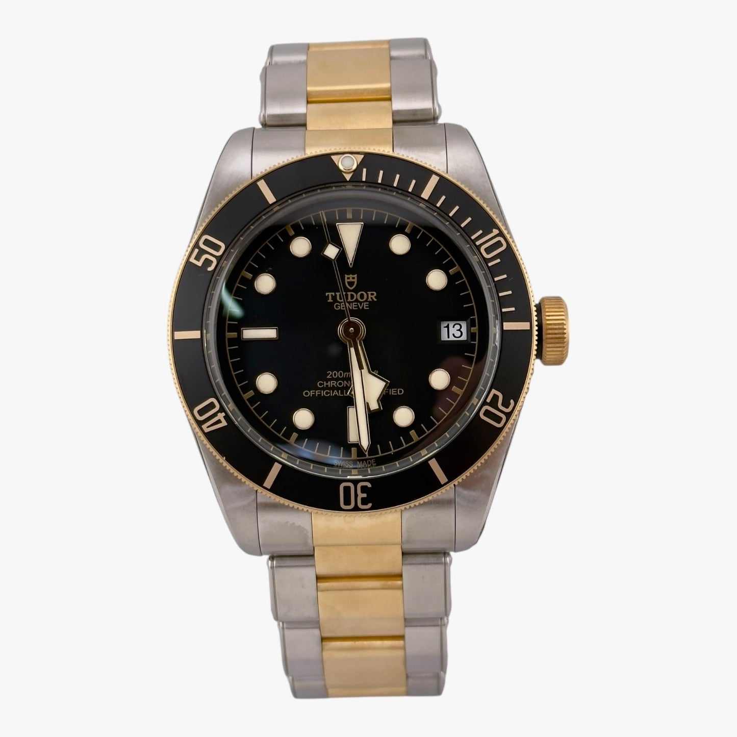 Tudor Black Bay S&G / Reference M79733N-0008