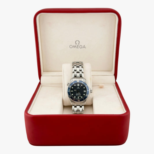 Omega Seamaster Professional / Reference 25518000