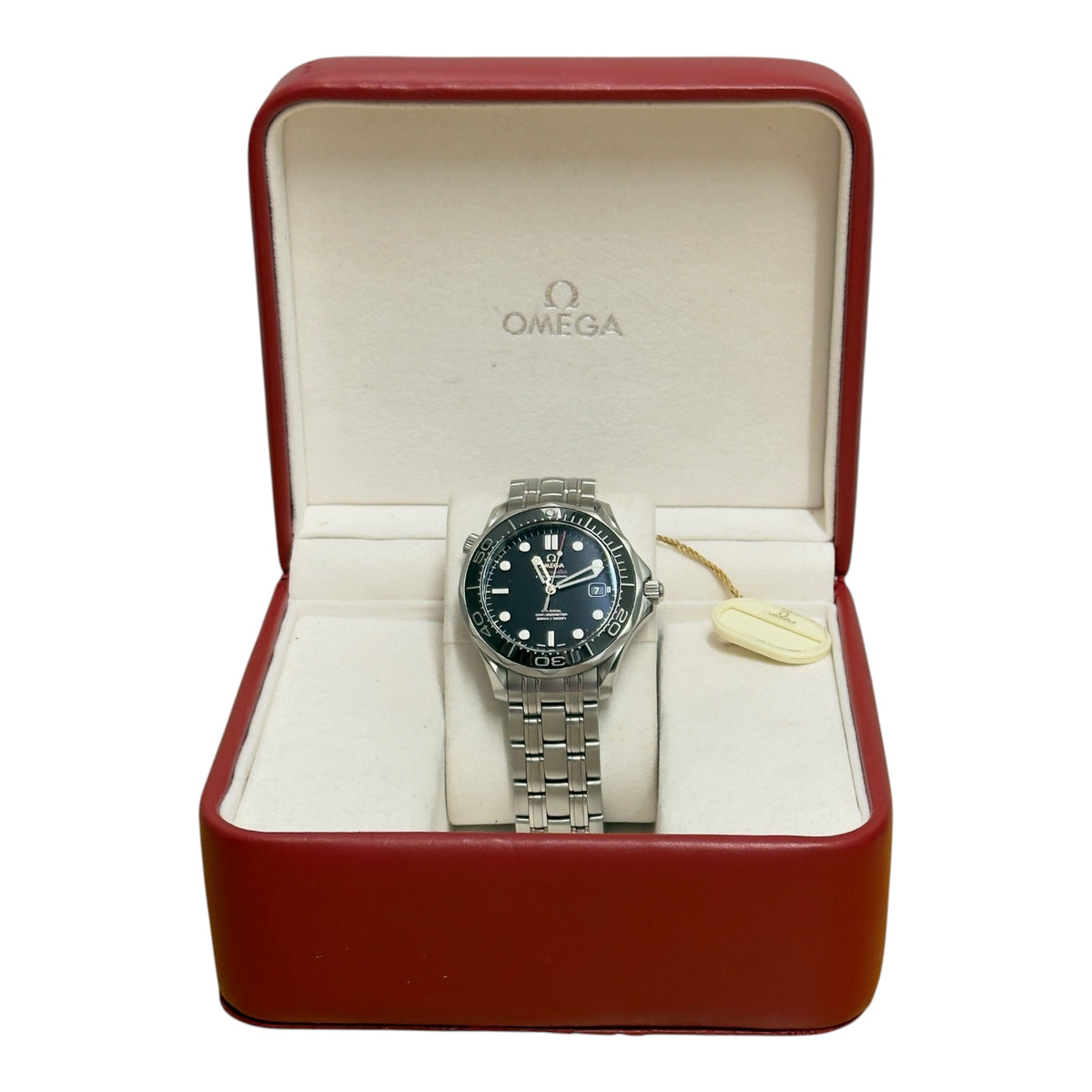 Omega Seamaster Diver / Reference 21230412001003
